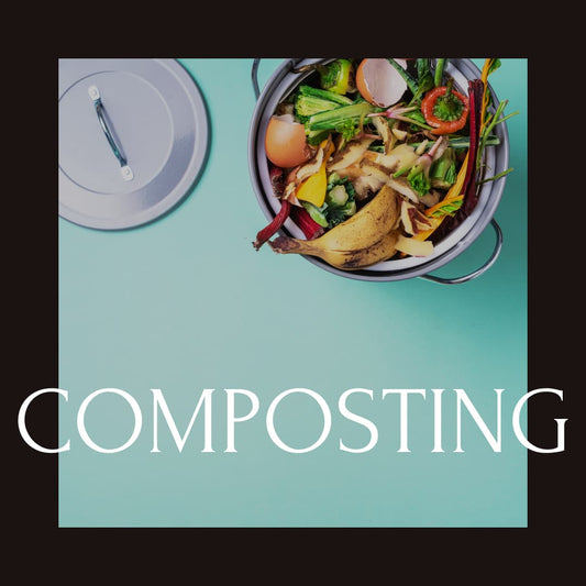 Composting & why we all should do it?