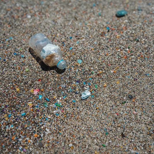 Environmental impact of microplastics. 